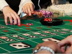 8868网页登录入口最新版